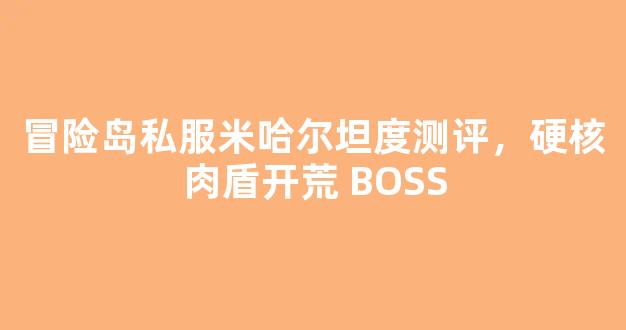 冒险岛私服米哈尔坦度测评，硬核肉盾开荒 BOSS